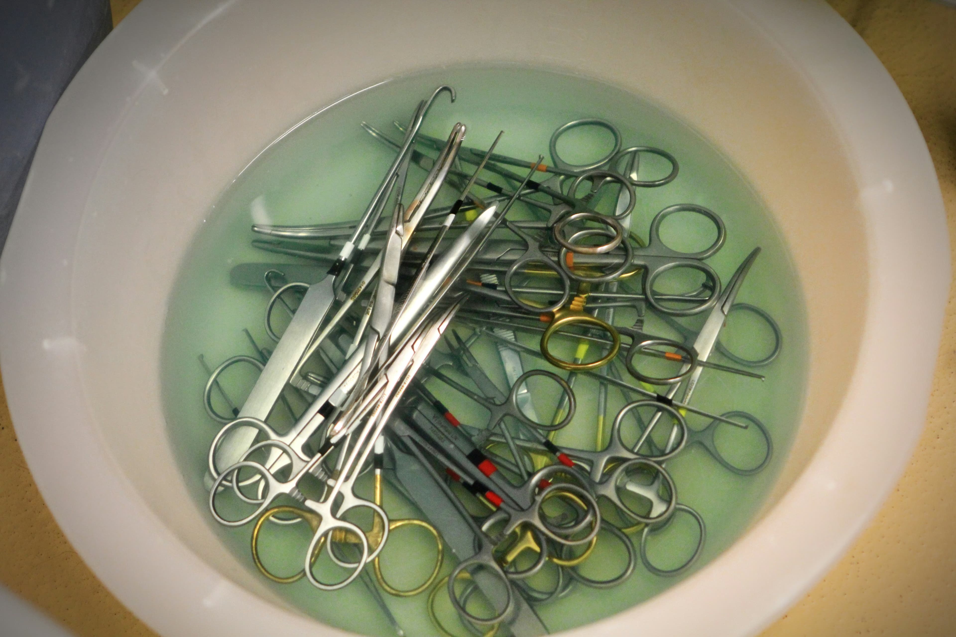 Acil veteriner müdahalesi